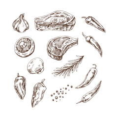 A set of hand-drawn sketches of barbecue elements. For the design of the menu of restaurants and cafes, grilled food. Pieces of meat and vegetables with seasonings.