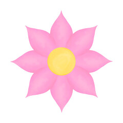 pink lotus flower