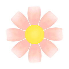 pastel flower isolated on white background
