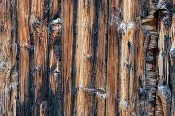 door in old wood worked by time