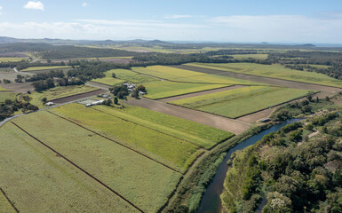 sugar cane  crops ready for harvest near the Queensland town of Calen and the St Helens creek .