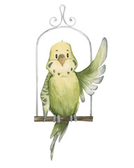 A cute green parrot flaps its wings on a white background. Watercolor illustration of poultry on a perch