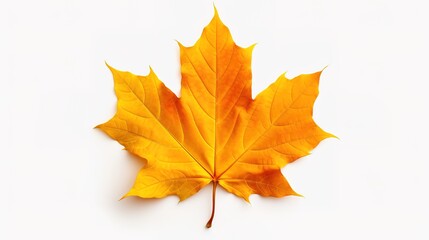 Fototapeta premium Beautiful Autumn cartoon landscape illustrations,AI generated.
