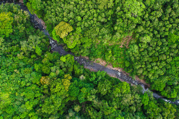 Captivating aerial photo captures the stunning beauty of a river winding its way through lush rainforest.