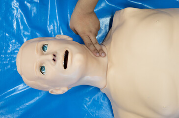 First aid CPR - pulse checking. Basic life support training.