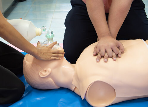 Basic Life Support Images – Browse 1,717 Stock Photos, Vectors, and ...