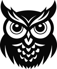 Illuminating the Night with an Owl's Graceful Presence