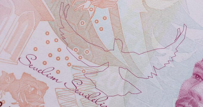 Macro view of banknote of world currency euro dollar. World economy and financial investments