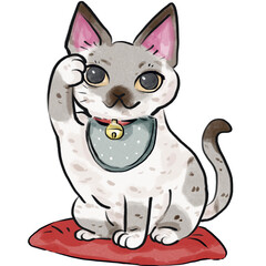 International cats