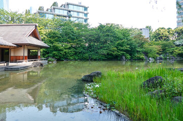 都心の緑　東京ミッドタウンと隣接した檜町公園（東京都港区赤坂）