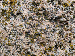 texture of stone with yellow moss close up