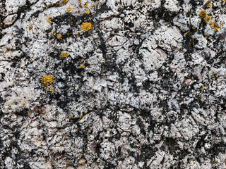 texture of stone with yellow moss close up