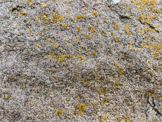 texture of stone with yellow moss close up
