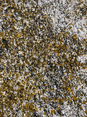 texture of stone with yellow moss close up
