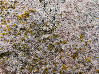 texture of stone with yellow moss close up