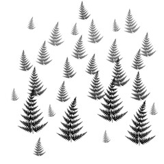 Obraz premium pattern with fern