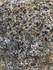 texture of stone with yellow moss close up