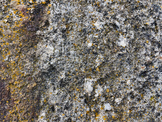 texture of stone close up