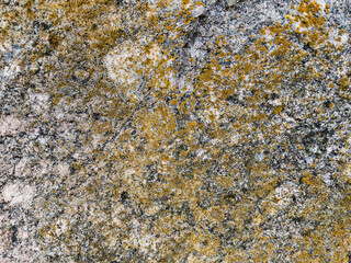 stone texture 