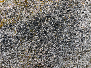 texture of stone close up