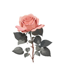 set of rose