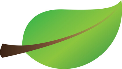 Green Leaf Isolated. Vector Illustration Icon. Transparent Background.