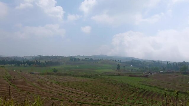 paddy fields with mountain and bright cloudy sky at evening at day