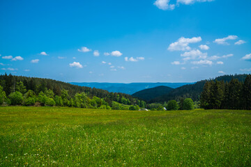 Fototapeta premium Germany, Beautiful black forest schwarzwald nature landscape panorama view, green forest mountains and meadows, summer with sun