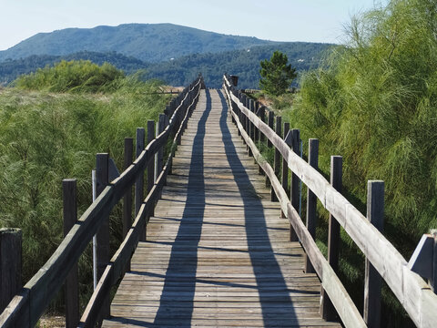 Beautiful nature with dunes and plants in Troia Peninsula Portugal