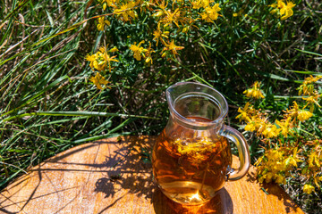 St. John's wort tea in nature