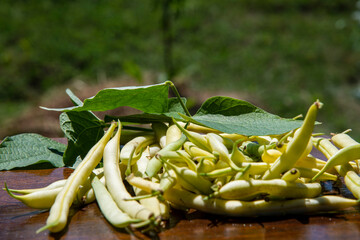 Bunch of green beans