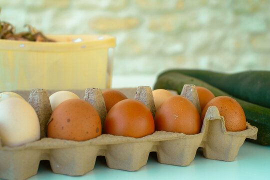 Oeufs et courgette