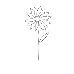 Flowers Lineart