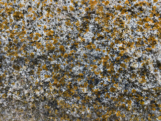 texture of stone with yellow lichen close up