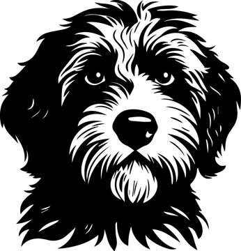 Australian Labradoodle icon