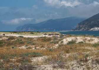 Beautiful nature with dunes and plants in Troia Peninsula Portugal