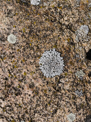 texture of stone close up