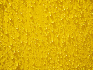 Raindrops on the yellow awning are illuminated by the bright sun.
