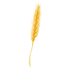 Homemade cooking wheat spikelet, spica. Kitchen bakery stuff, process of baking. Baking, bakery shop, cooking, sweet products, dessert. Vector for poster, banner, menu, cover, advertising