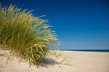 Sand dunes and grass over the Baltic Sea at sunny day. Beautiful summer landscape with sea view. Hel, Poland