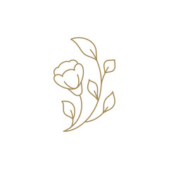 Romantic wild flower with bud stem and lush leaves curved plant decorative design line art vector