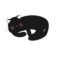  Drawing of beautiful cat .PNG