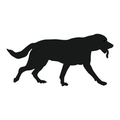 Dog line icon vector illustration symbol design