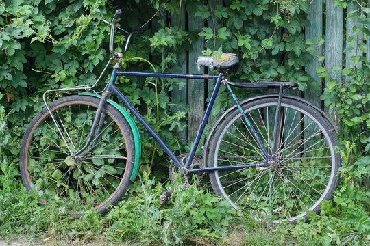 one old blue bicycle stands against a wooden fence wall overgrown with green vegetation in the grass on a rural street - Powered by Adobe