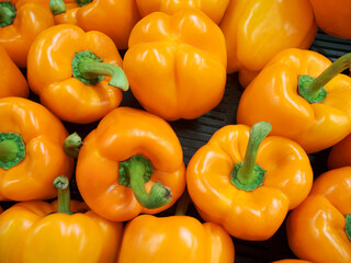 Pile of ripe bright orange sweet bell peppers. Harvest, farmer market or retail display.