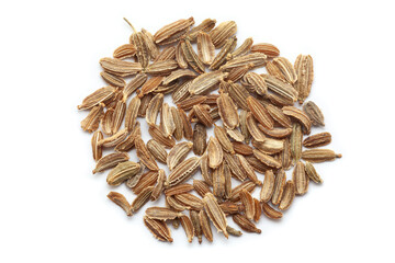 Close-up of Dried Organic Carrot (Daucus carota) seeds isolated on white background. Top view.