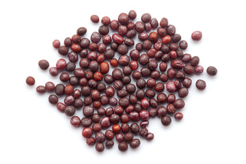 Close-up of Dried Organic Turnip (Brassica rapa) seeds isolated on white background. Top view.