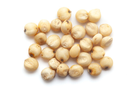 Close-up of Dried Organic Jowar or Sorghum (Sorghum bicolor) seeds isolated on white background. Top view.