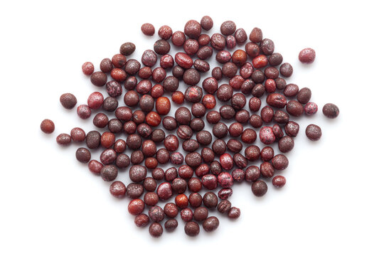 Close-up of Dried Organic Turnip (Brassica rapa) seeds isolated on white background. Top view.