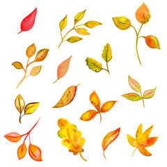 set of watercolor yellow autumn leaves, hand drawing, png on a transparent background